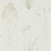 Farne Grasses 216486